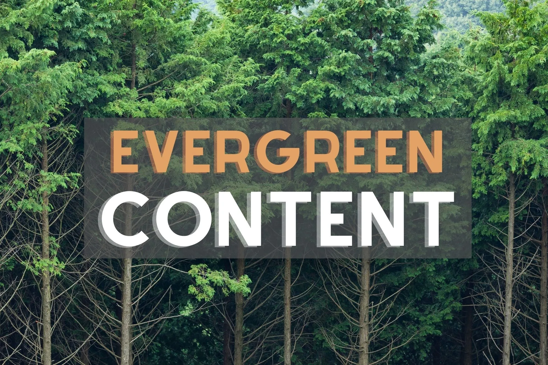 Hình ảnh Phối hợp Topical và Evergreen Content để Tăng Traffic cho Website 12 Evergreen content