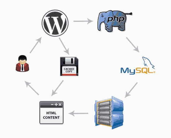 Cache Plugin WordPress jpeg