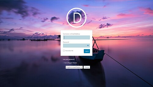 Custom Login Page 1