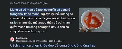 cach nhan biet ca chep khoe manh