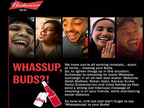 case-study-whassup (5)